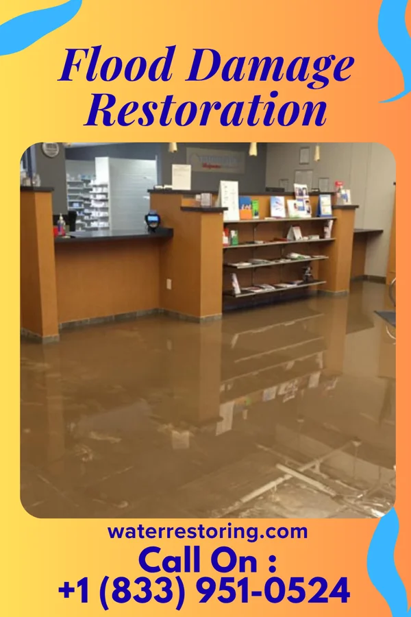 Flood Damage Restoration in Dawson, MD
