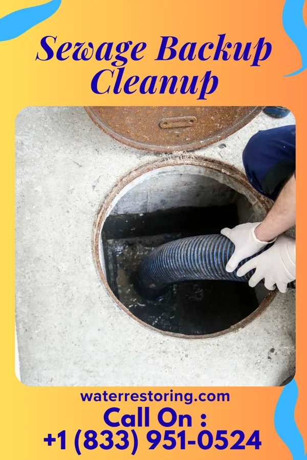 Sewage Backup Cleanup in Dawson, MD