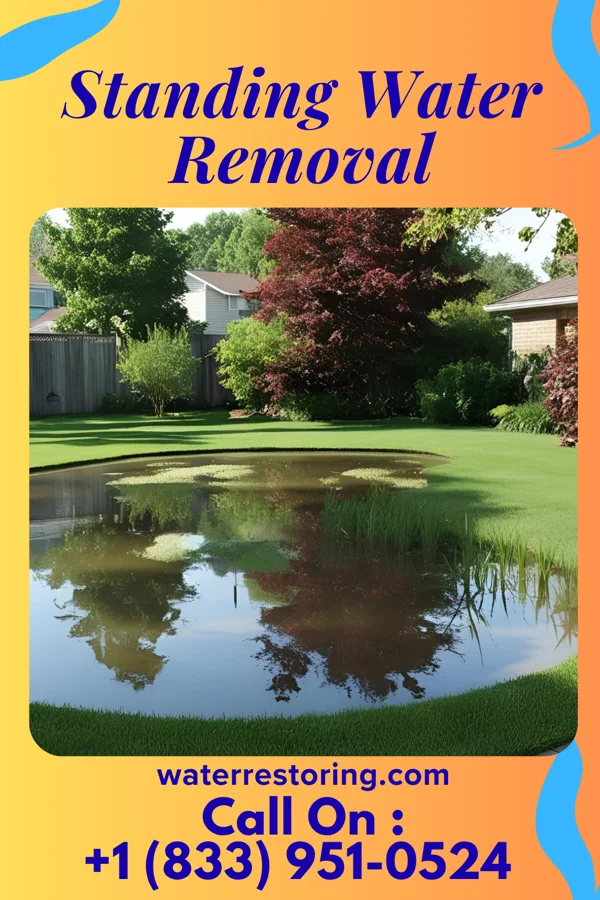 Standing Water Removal in Dawson, MD